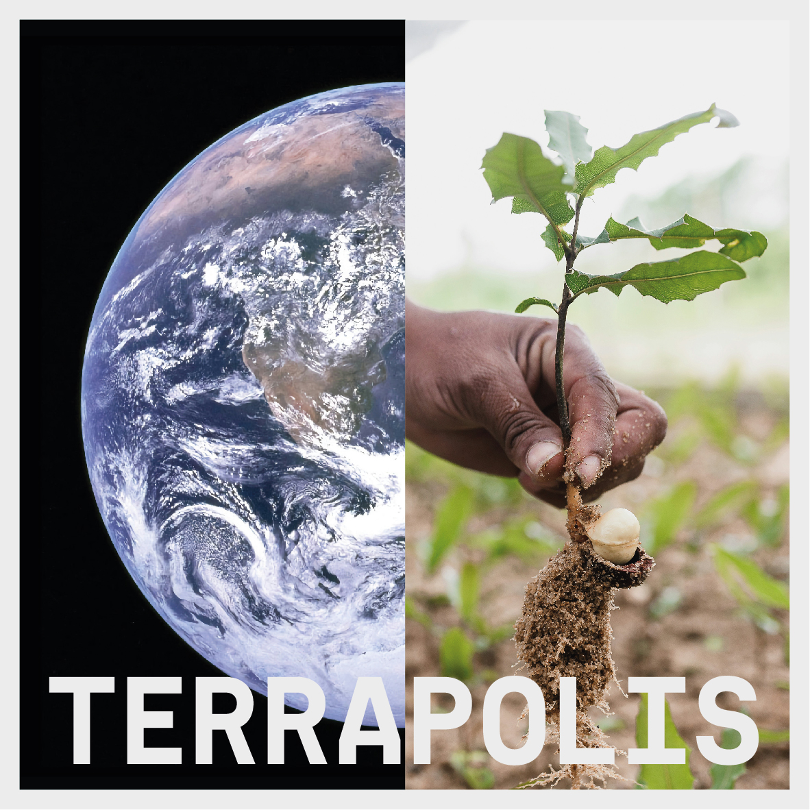 A democratic space for sharing stories on replenishing the Earth